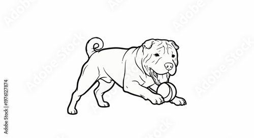 Wrinkled-faced dog with a ball in its mouth, outlined in black