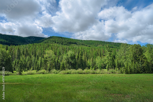 2021-06-16 FOOTHILLS OF THE BITTERROOT MOUNTAINS NEAR THE SHOSHONE PARK IN IDAHO WITH A LUSH FIELD TREES AND A NICE CLOUDY SKY