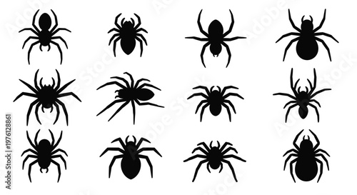 Collection of black spider silhouettes arranged in a grid pattern