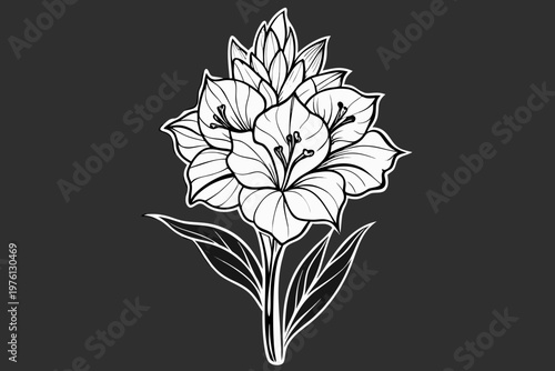 coloring page  line art the gladiolus flower black vector