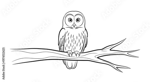 Owl sitting on tree branch alone.
