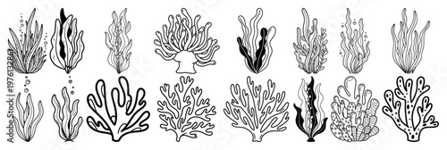 Seaweed and coral reef plants collection in black and white doodle style