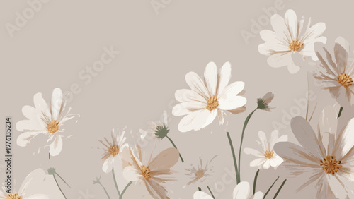 Elegant White Daisy Flowers on Minimalist Beige Background