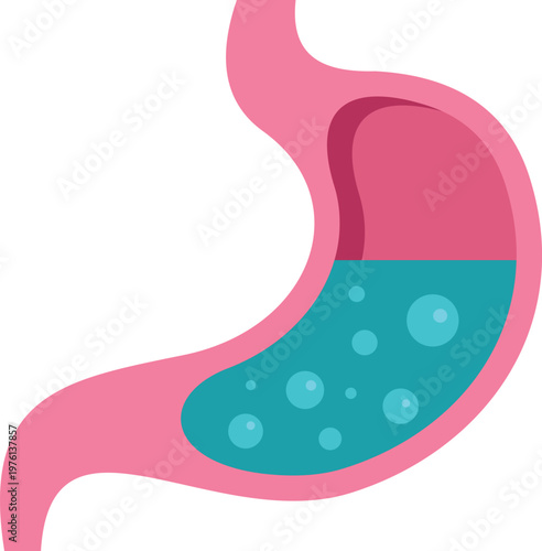 Human stomach organ full of blue gastric acid liquid with bubbles for digestion