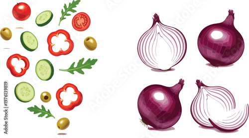 Fresh salad ingredients and onion illustration set featuring tomato, cucumber, pepper slices, olives, and red onion with detailed vector design
