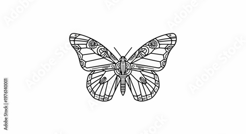Ornate, line-art butterfly with mechanical, geometric wing patterns