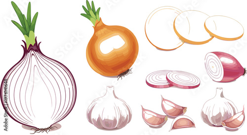Onion and garlic illustration set featuring whole bulbs, slices, rings, and cloves with detailed vegetable elements in clean vector style