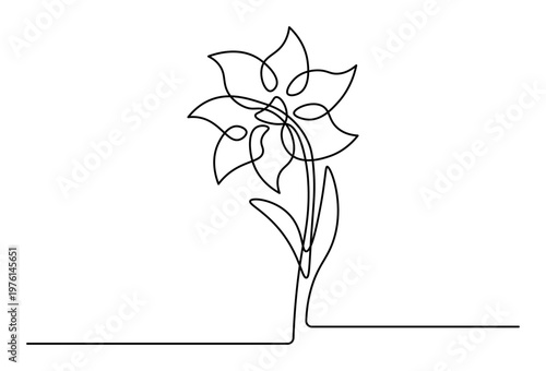 Continuous line drawing of a flower in a pot on white background