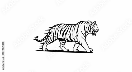 Majestic tiger with fierce expression, mid-stride, rendered in bold black outline