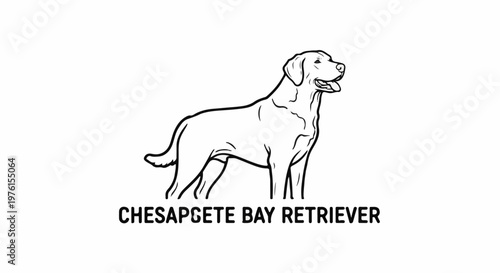 Outline of a happy dog standing, with text below