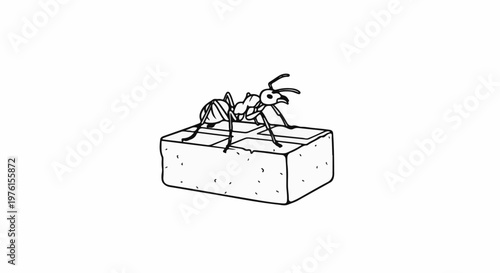 A detailed line drawing shows an ant standing on a block