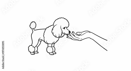 A stylized poodle receives a treat from an open hand