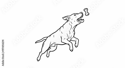 A playful dog leaps high in the air, mouth open, to catch a bone
