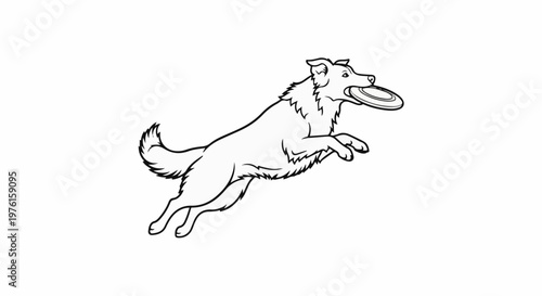 Energetic dog in mid-air catches a frisbee