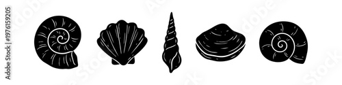 Collection of five black seashell silhouettes in a minimalist hand-drawn style, including spiral ammonites, scallop, and clam shells, isolated on a white background.