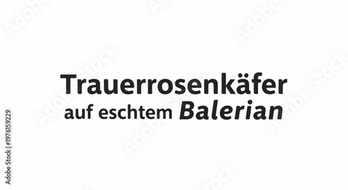 German text Mourning beetles on real Valerian