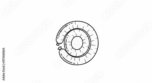 Black and white line drawing of a coiled sausage with radiating lines