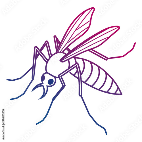 Detailed mosquito illustration in gradient color line art style showing insect anatomy for biology education and pest control awareness graphics art.