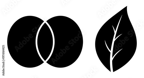 Two intersecting circles and a stylized leaf with a central vein structure Vector, illustration