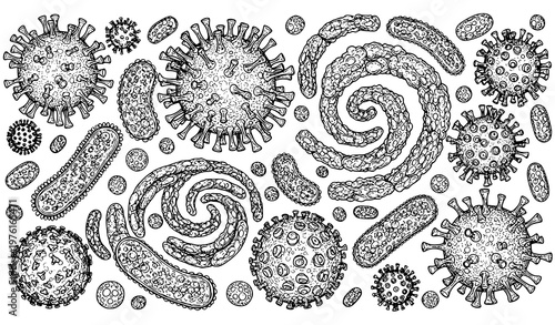 A black and white vector illustration of various bacteria and viruses