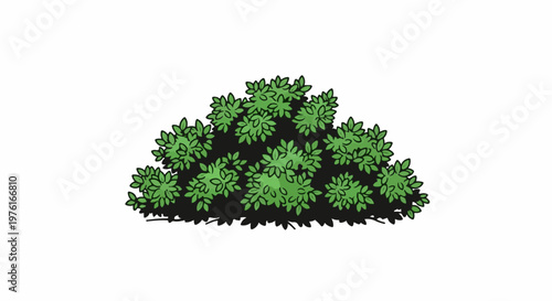 A green leafy bush with dark shadow underneath