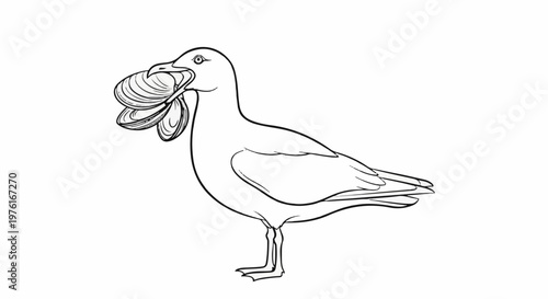 A black and white drawing of a seagull holding seashells in its beak