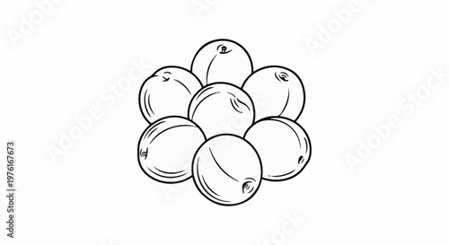 A cluster of seven round, outlined fruits, resembling plums or cherries