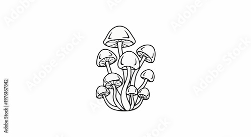 A cluster of stylized, outline mushrooms with visible gills
