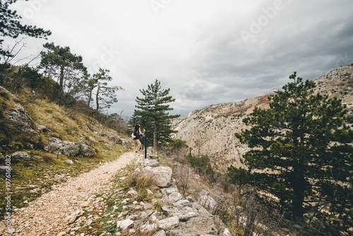 Fotografie Mountain landscape with pine and evergreen trees above rocky valley under cloudy