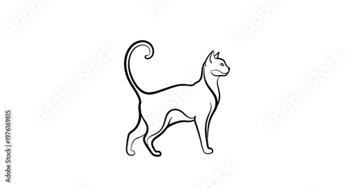 Stylized line art of a cat with curled tail white background animal art pet art domestic