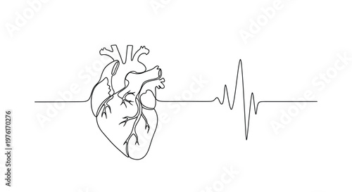 Drawing of a human heart with a heartbeat waveform line art health care vital signs waveform