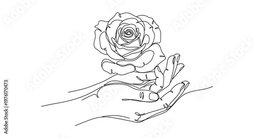 Line art drawing of hands holding a rose with a delicate line art sketch shows cupped hands