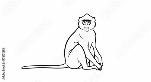 A black and white outline drawing of a primate sitting with its tail extended