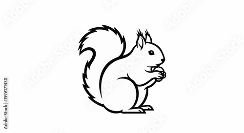 A black and white outline illustration of a squirrel holding a nut