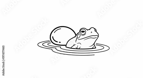 A frog emerges from water, near a round object