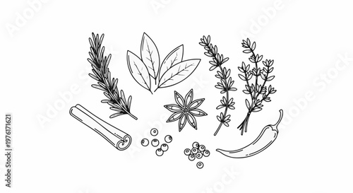 A black and white illustration of various spices and herbs arranged