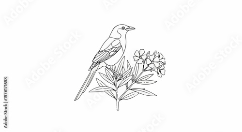 A black and white sketch of a bird perched on a flowering plant branch