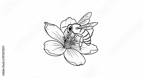 A black and white line drawing of a bee collecting nectar from a delicate flower