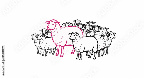 A highlighted sheep stands out from a flock of black and white sheep