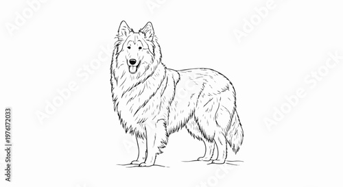 A black and white sketch of a long-haired dog standing
