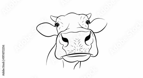 A black and white line drawing of a cow's face looking forward