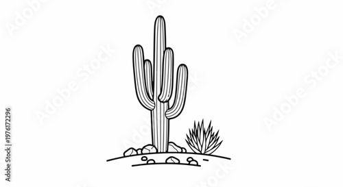 A black and white sketch of a saguaro cactus and a smaller spiky plant