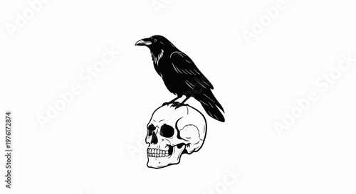 A black bird perched on a skull