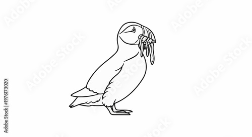 A black and white line drawing of a puffin with fish in its beak