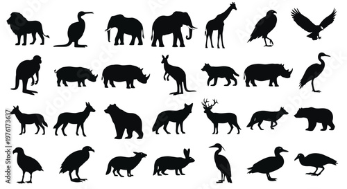 Silhouettes of diverse african and global wildlife animals in black and white Vector