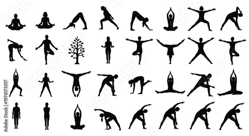 Collection of yoga and stretching poses for flexibility and relaxation exercises Vector