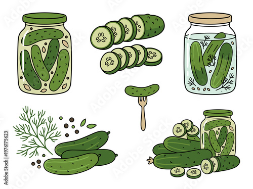 Preserved food jars and pickles illustration, fermented cucumber snacks in simple organic hand-drawn style