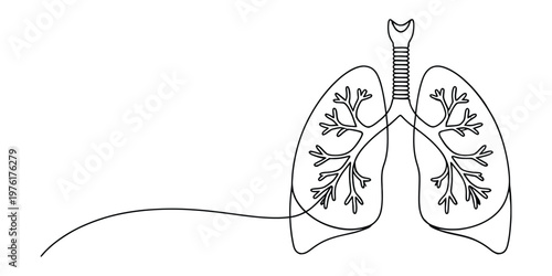Minimalist One Line Drawing of Human Lungs
