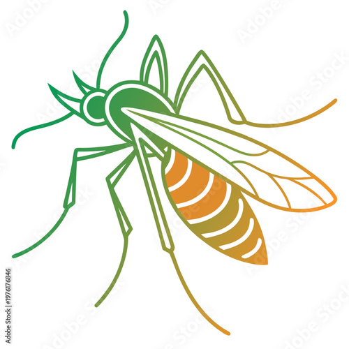 Mosquito profile view detailed outline illustration with gradient fill showing segmented abdomen and delicate wings for pest control vector art.