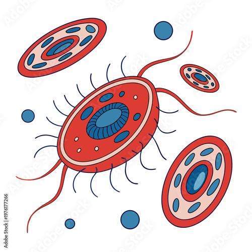 Oval shaped cell with blue nucleus and red exterior surrounded by smaller cells and circles, abstract representation of biology and health, scientific illustration.